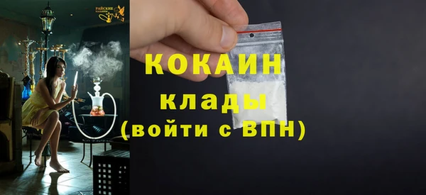 PSILOCYBIN Михайлов