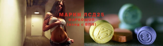 PSILOCYBIN Михайлов