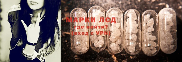 PSILOCYBIN Михайлов