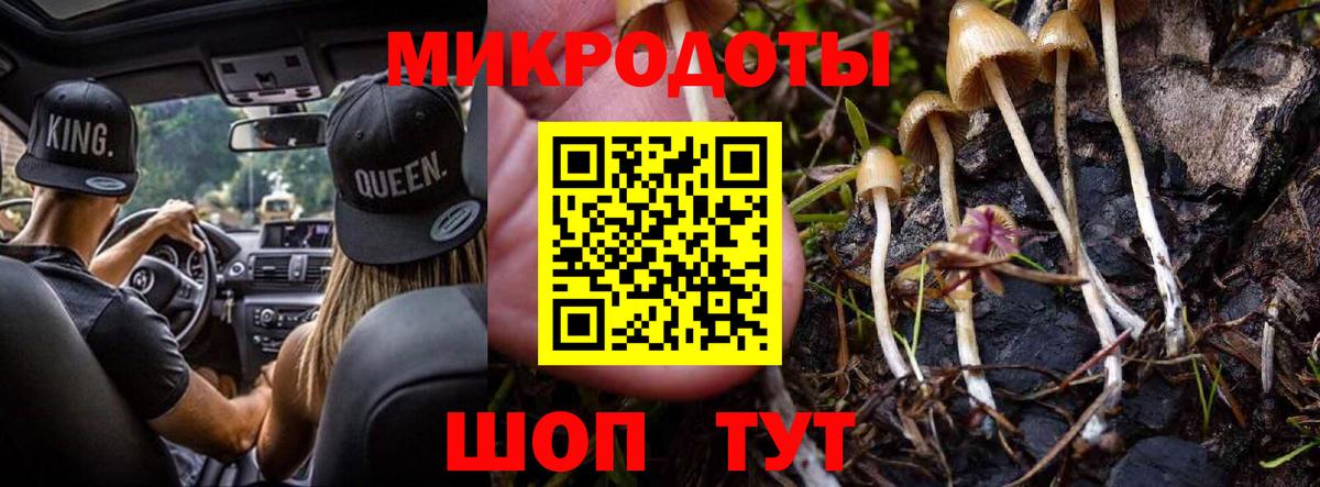 закладки  Таганрог  Галлюциногенные грибы Magic Shrooms 