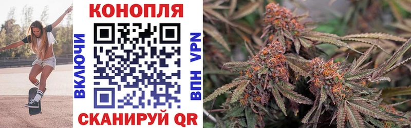 Бошки марихуана сатива Таганрог